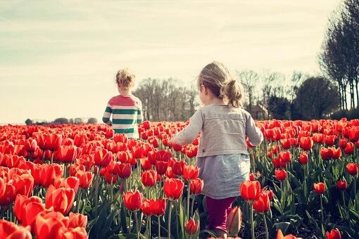 enfants dans un champ de tulipes