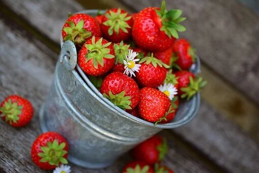 fraises (1)
